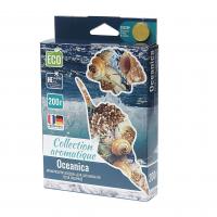 Ароматизатор воздуха FTE-CA-14 COLLECTION AROMATIQUE (oceanica) под сиденье 200гр FOUETTE /1/40