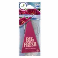 Ароматизатор воздуха PABF-64 BIG FRESH (орхидейный бриз) пластинка FKVJP /10/200