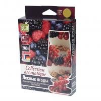 Ароматизатор воздуха FTE-CA-12 COLLECTION AROMATIQUE (лесные ягоды) под сиденье 200гр FOUETTE /1/40